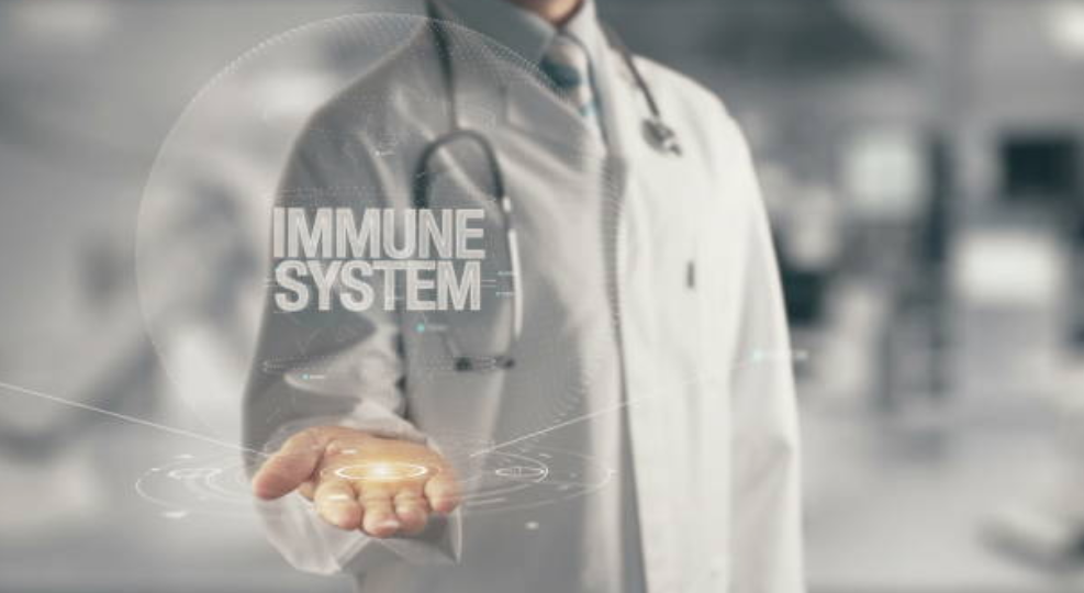 Immune Support Recommendations